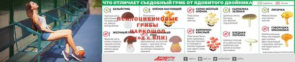 героин Каменка