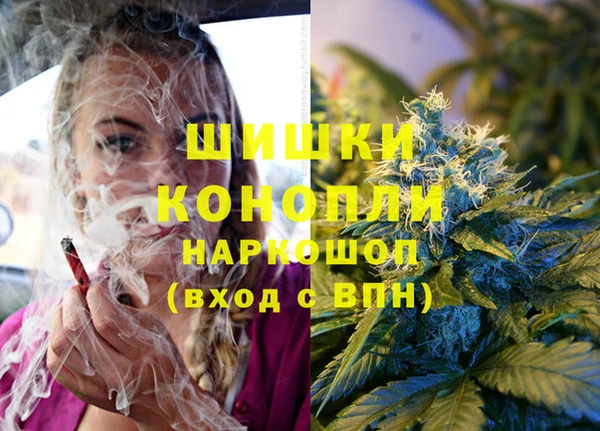 героин Каменка