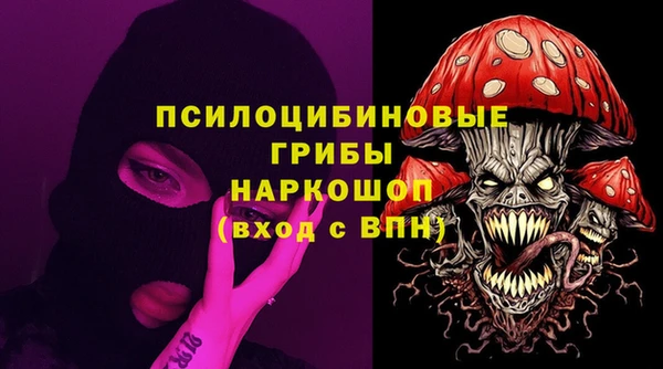героин Каменка