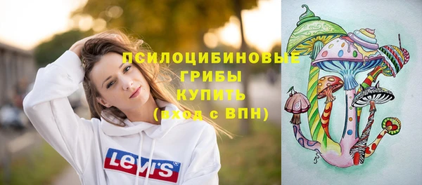 героин Каменка
